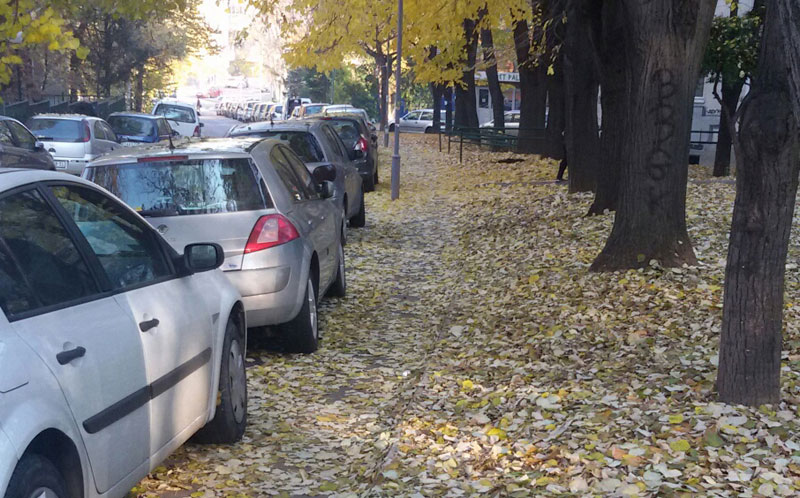 Казне прете и због - лишћа!
