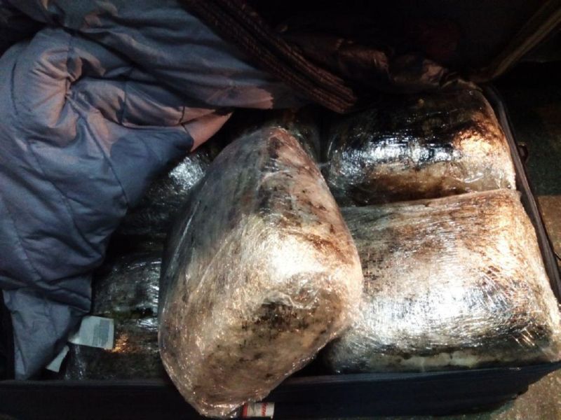 Полиција нашла марихуану у аутобусу Херцег Нови-Суботица