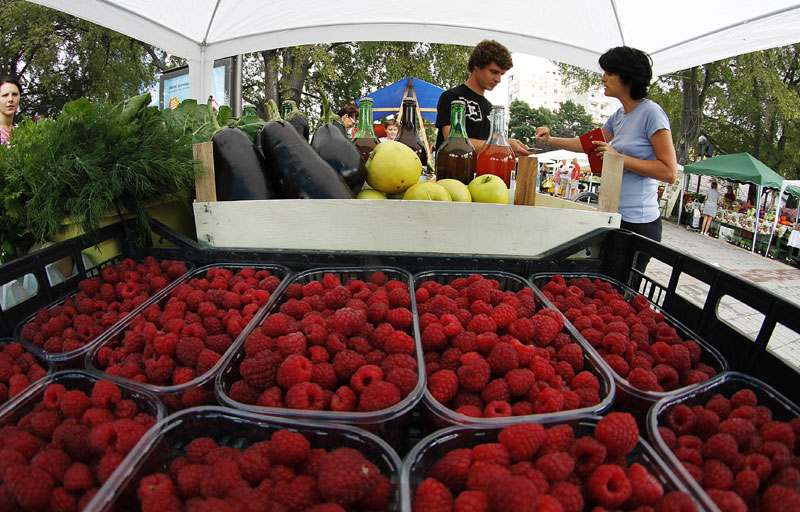 Србија на првом месту у свету по производњи малина