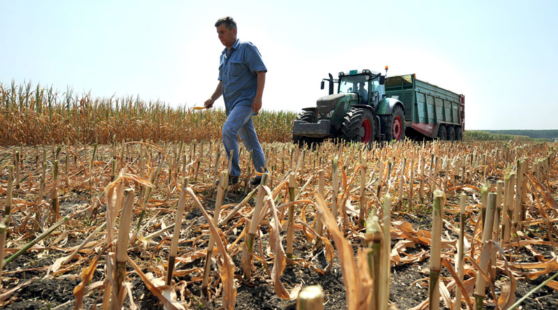 Сунце обрало 30 одсто усева