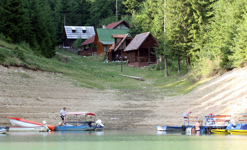 Николић: Закон на Уставни суд!