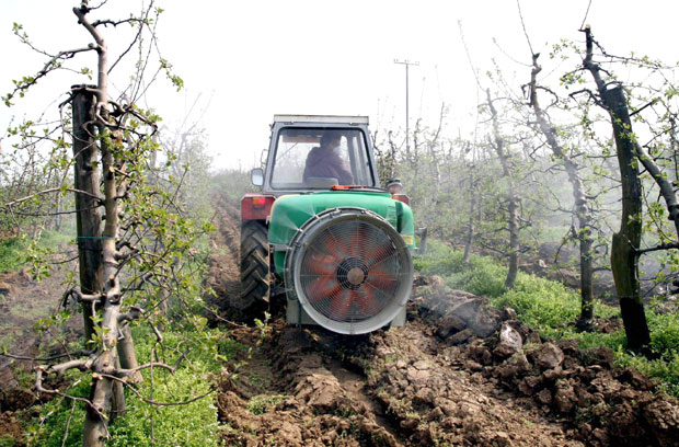 Суша им сасекла приносе