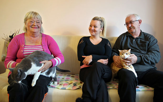 Гарфилд за Гиниса