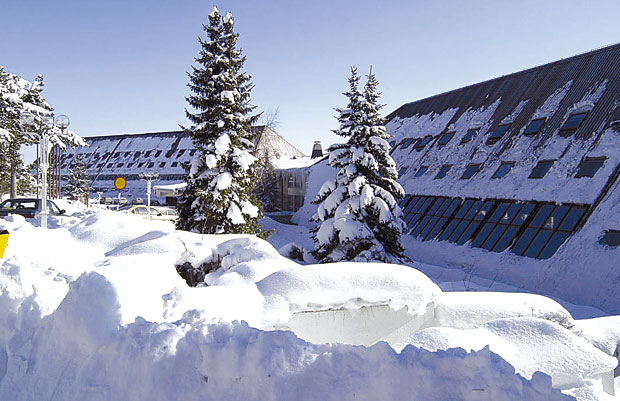 Тара - планинска лепотица за провод из снова