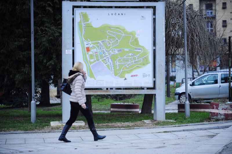 Нема плате због мртве мачке?!