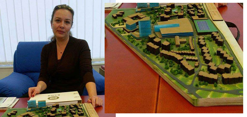 Дозволе коче Нови Ниш