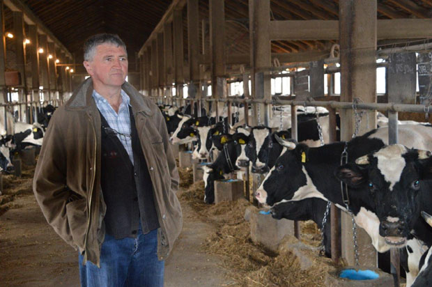 Држава мора да штити домаће млекаре