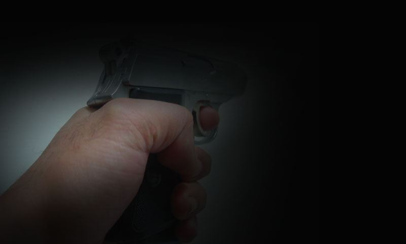 САД: Мајка грешком убила ћерку мислећи да је провалник