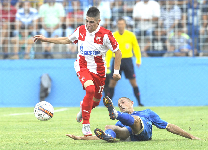 Срђан Плавшић - Сад сви знају атом-мрава