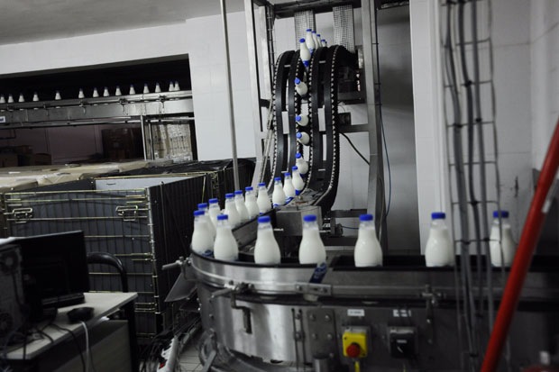 Европа нам ценом уништава млекаре!