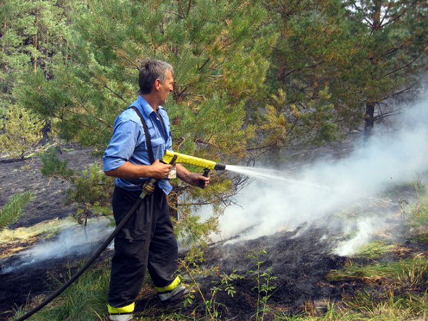 Пријепоље: Шуме под видео-надзором