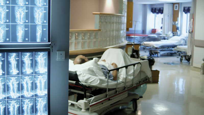 Да ли ће еутаназија бити озакоњена у Србији?