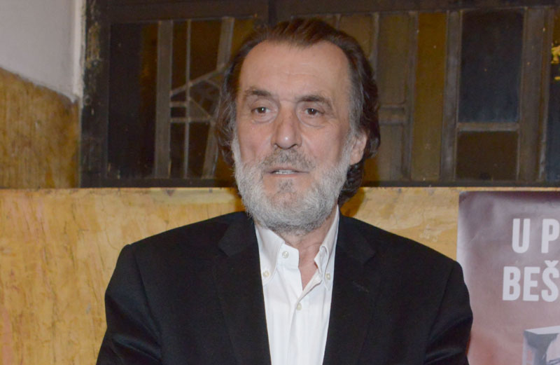 Шпијунка: Књига за победу