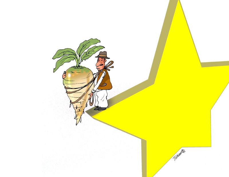 Горак укус европског јефтиног шећера