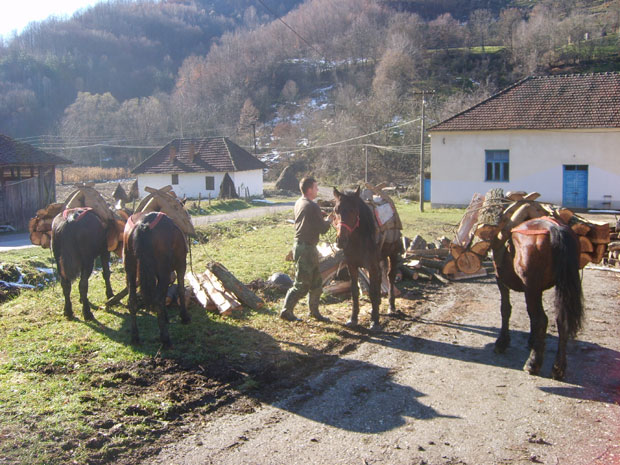 Огрејали пола Шумадије