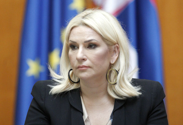 Михајловићева опомиње Рогозина