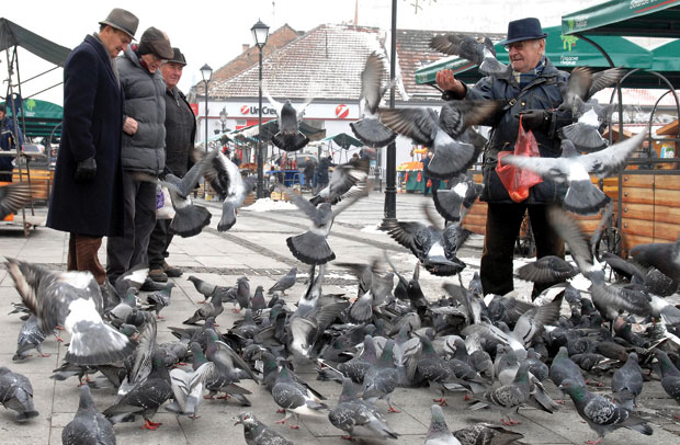 Минус отерао и аласе са Дунава