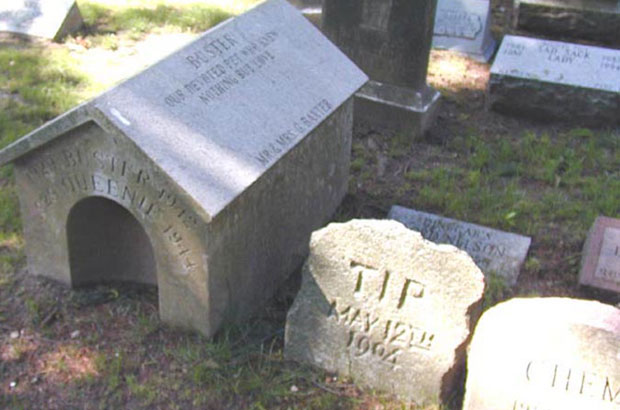 Одлаже се градња гробља за кућне љубимце?