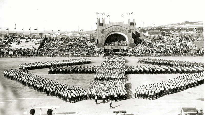 Наши Соколари