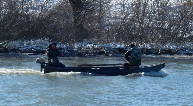 Краду рибу, а сви жмуре