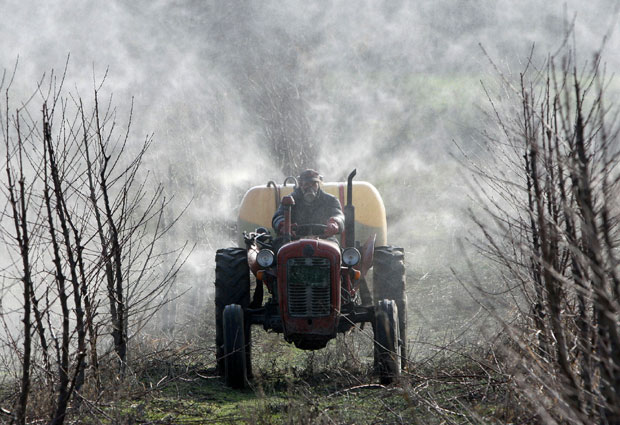 Уљана репица спас за паоре