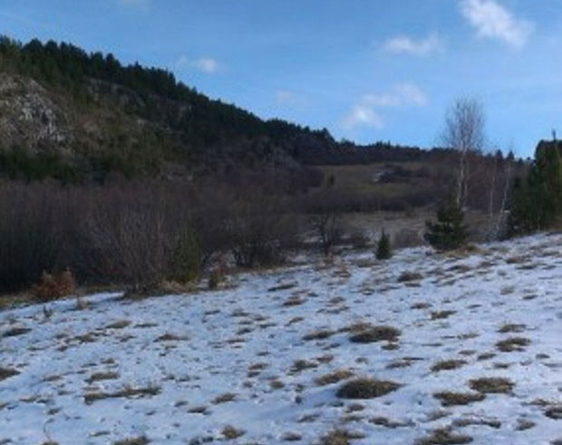 Пљевља: Догодине слалом на Мијаиловици