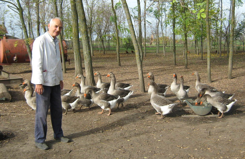 Морка постала симбол салаша