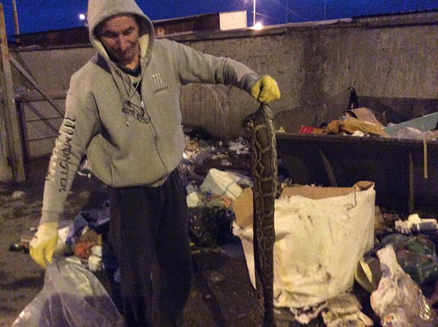 У контејнеру у Панчеву пронађен питон