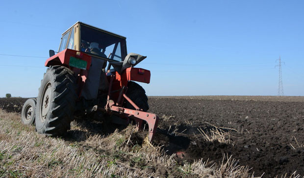 Задругари купили њиве a у катастру нема трага!