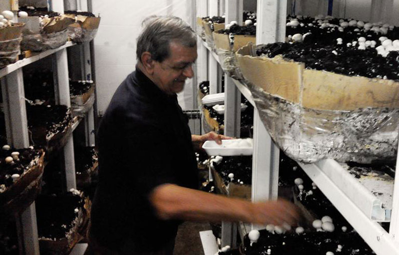 Печурке као хоби