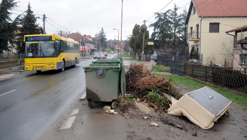 Ђубре цвета поред пута