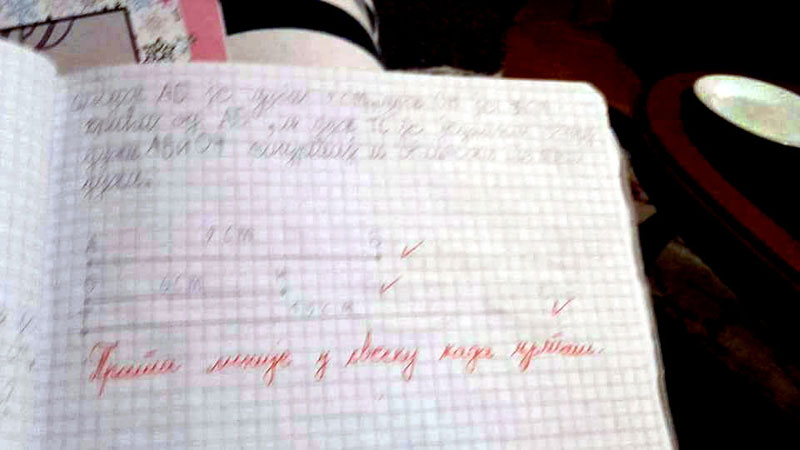 ПГ: Учитељица да научи правопис!