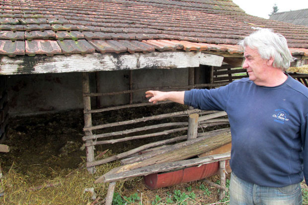 Луталице заклале 40 оваца