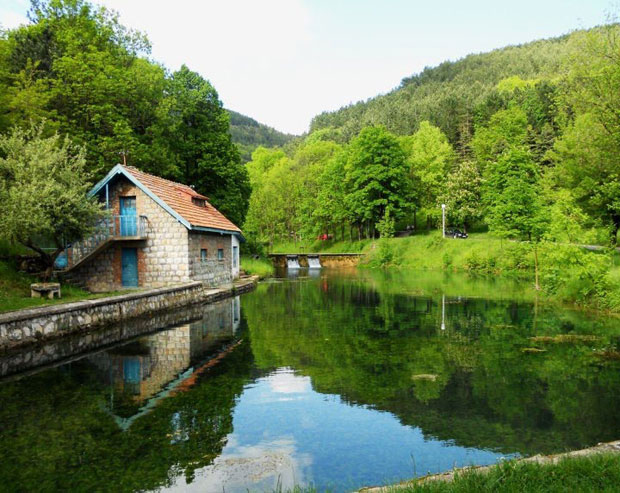 Пљевља: Оживети рибњак у парку