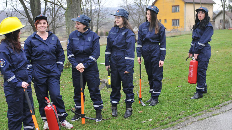 Даме мушки гасе ватру