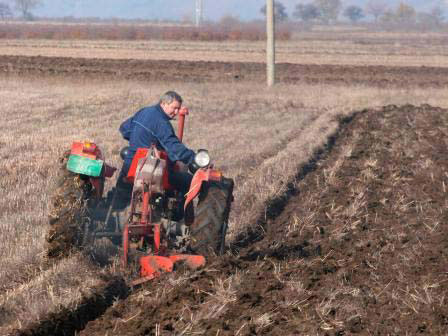 Увоз уништава аграр РС
