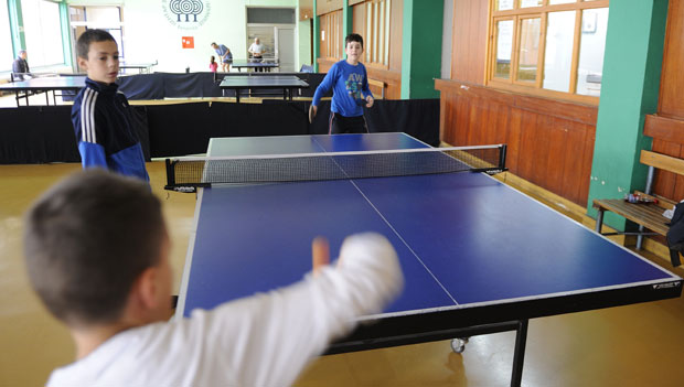 Шумице укинуте, ал нормално раде