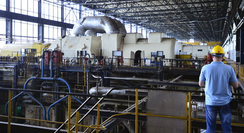 ЕПС чека директора