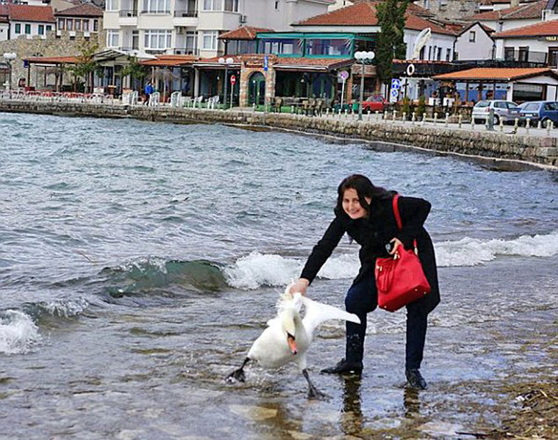 Убила лабуда јер је очајнички желела да се слика са њим!