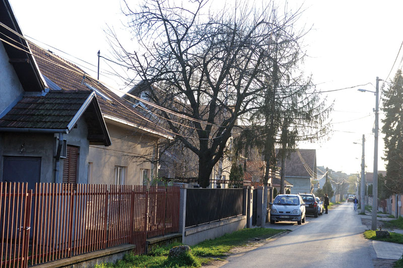 Због гасовода руше 36 кућа у Батајници?!