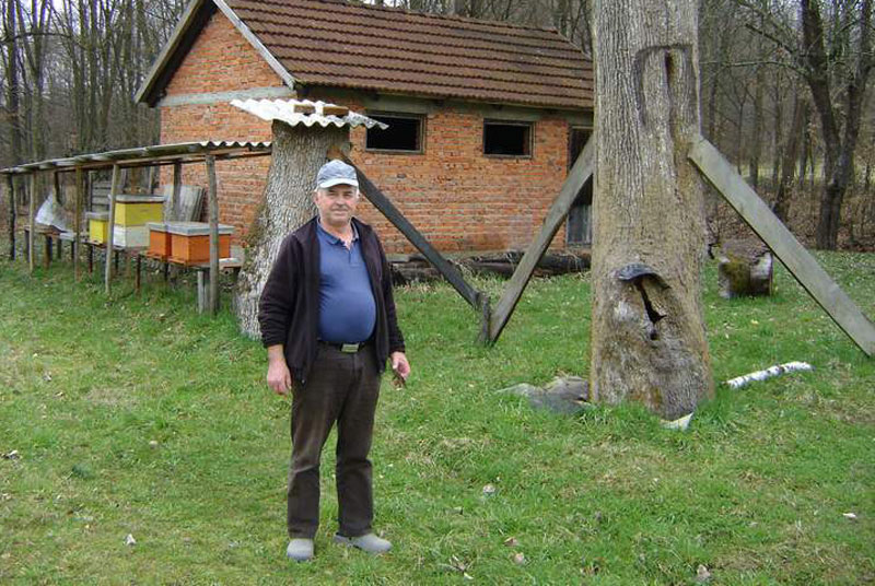 Пчеле отишле, мед остао