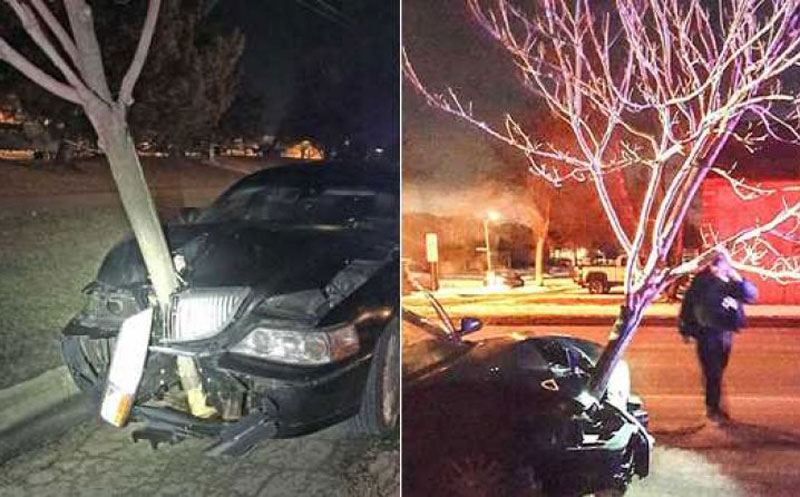 Мртва пијана возила са четири ипо метра дугачким стаблом забијеним у аутомобил /ВИДЕО/