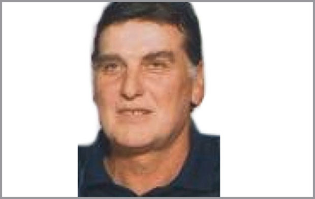 Зид пао и убио зидара