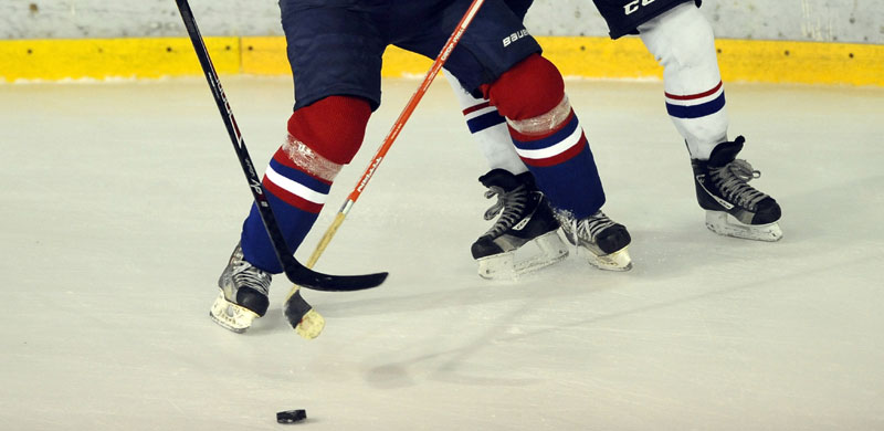 Српски исељеници из Калгарија - пример мултикултурне Канаде