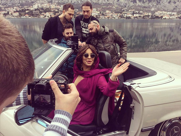 Црноока у Котору