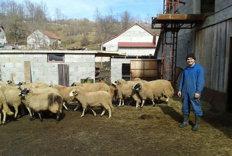 Дражљево: Слога фарму гради! 
