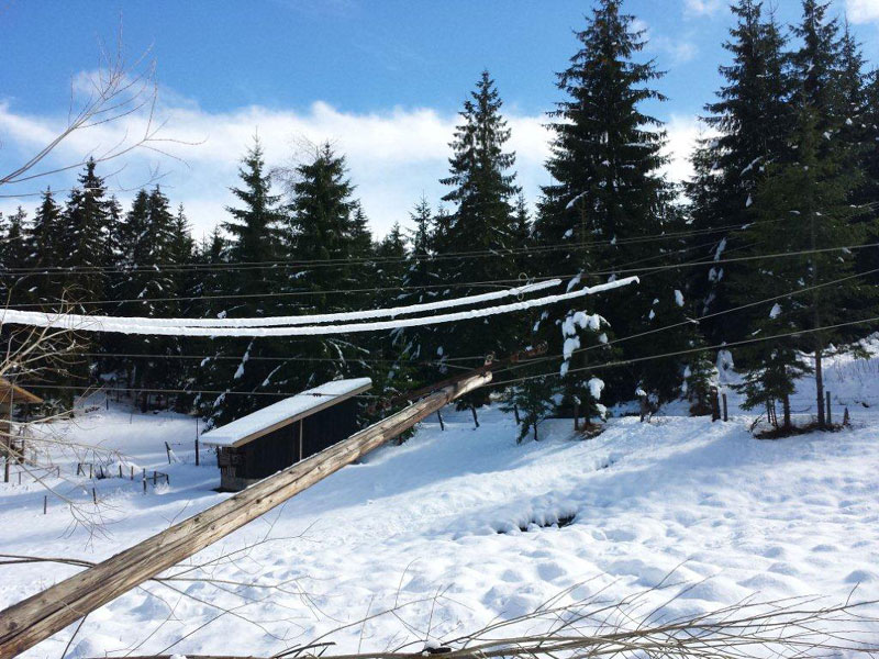 Невреме оборило чак 245 бандера
