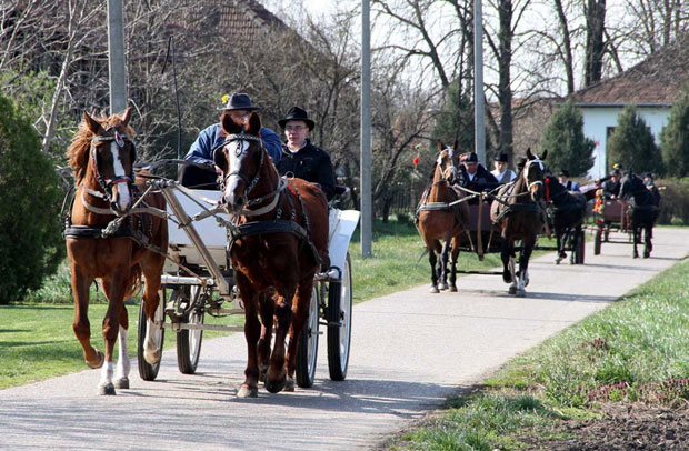 Војвођанске приче: Беж`те цуре, стижу поливачи