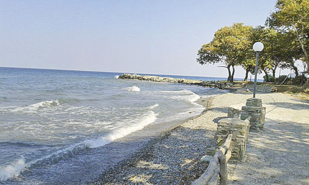 У понуди и Кокино Неро