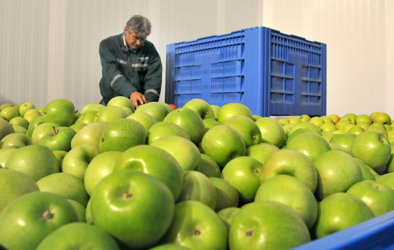 Наше воће и поврће убрзано до Русије